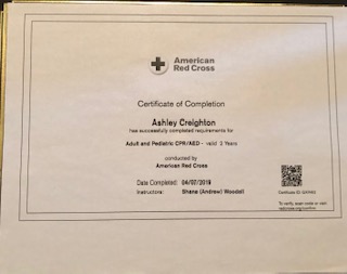 American red cross certification