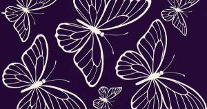 Profile, Background, Body Beautiful, 2025